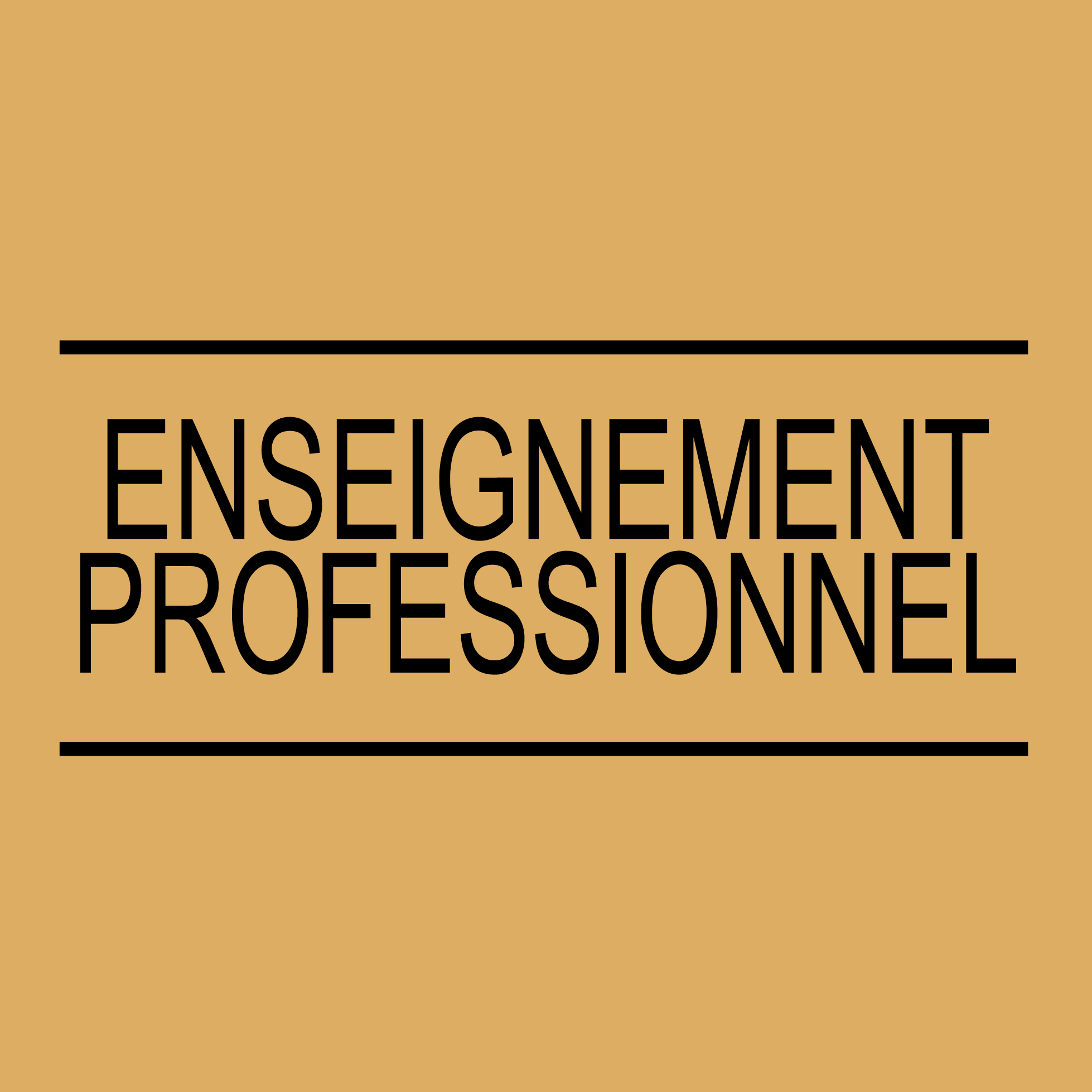 enseignement_pro.png